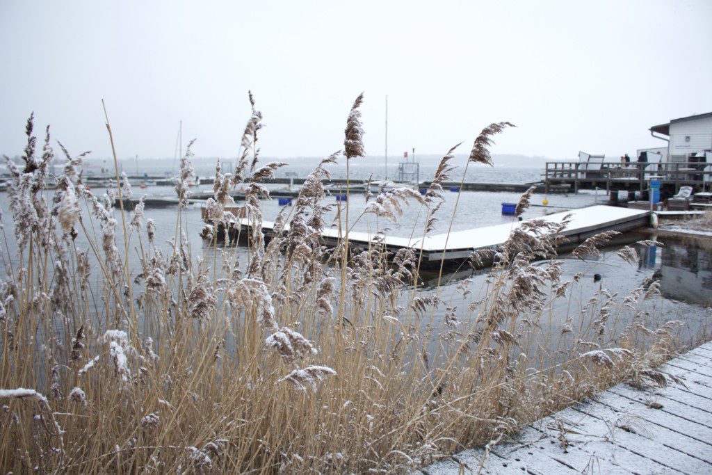 Der Cospudener See im Winter - Leipzig Blogger