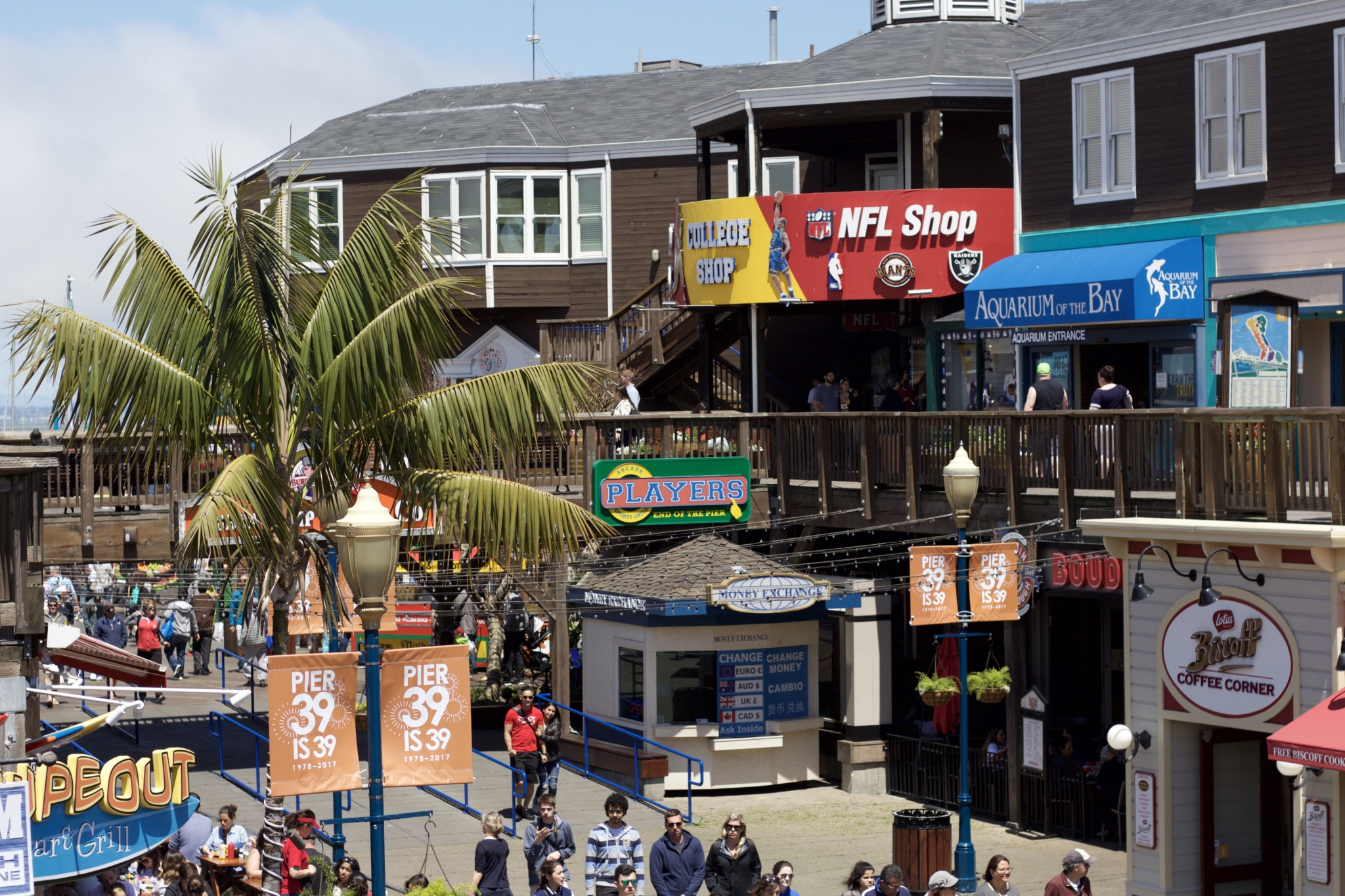 Ein Tag am Pier 39 in San Francisco - Erlebnisse und 5 Tipps für einen Tag am Pier 39 - Reise Blogger Tipps - Bild 3