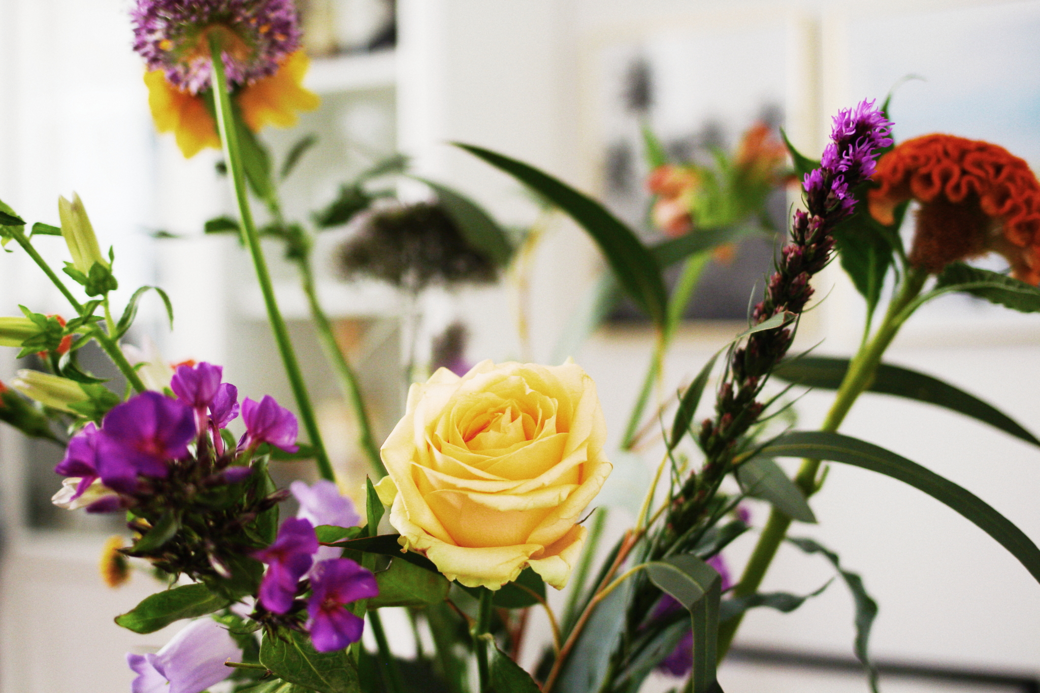 Nahaufnahme des Bouquets von bloomon - Tipps & Tricks: Blumen stillvoll in der Vase arrangieren  - Blumenstrauß selber binden