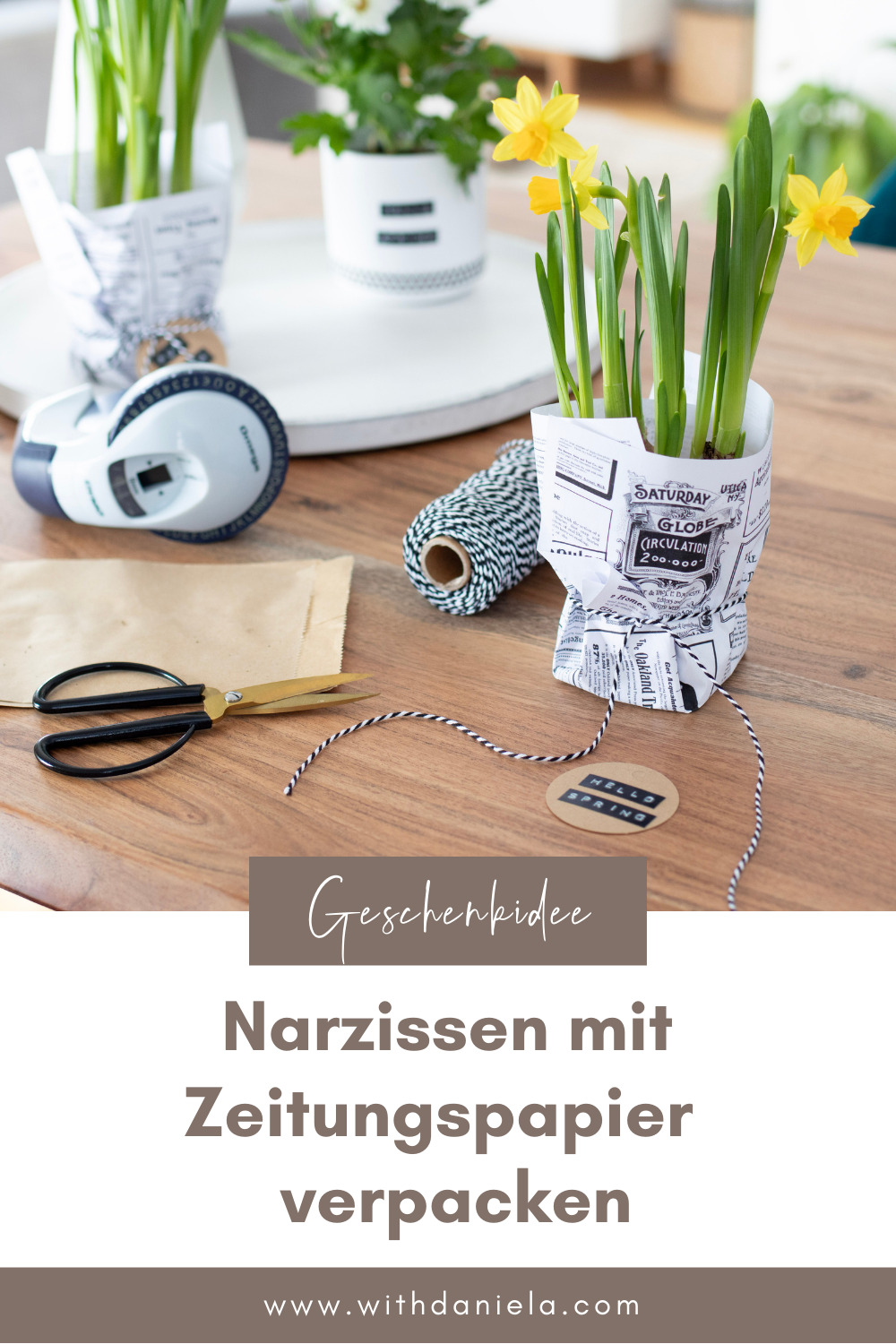 Geschenkidee: Narzissen mit Zeitungspapier verpacken