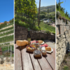 Picknick in den Weinbergen bei Freyburg: Ausflugstipp Saale-Unstrut