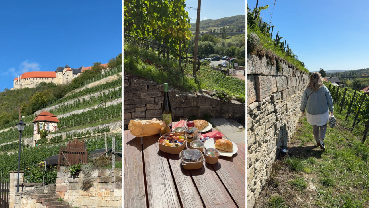 Picknick in den Weinbergen bei Freyburg: Ausflugstipp Saale-Unstrut