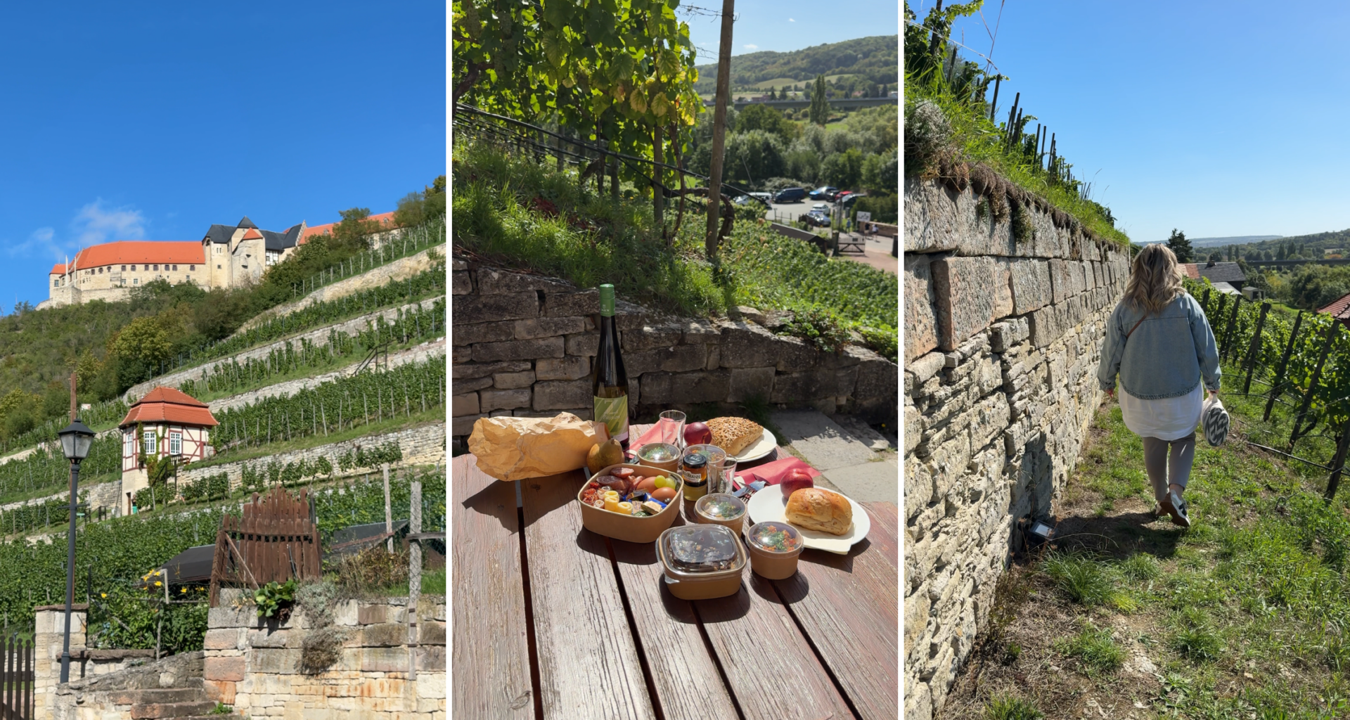 Picknick in den Weinbergen bei Freyburg: Ausflugstipp Saale-Unstrut