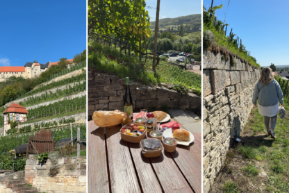 Picknick in den Weinbergen bei Freyburg: Ausflugstipp Saale-Unstrut