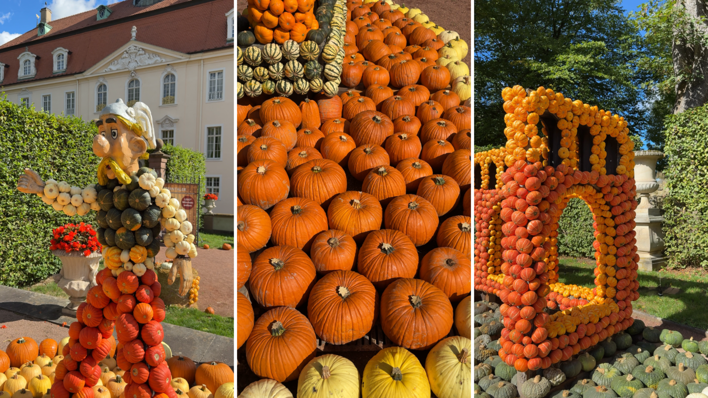 Herbstausflug in Sachsen: Kürbisfestival Schloss Lichtenwalde 2026